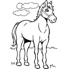 native american horseback coloring pages