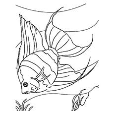 F Is For Fish Coloring Page 01  Free F Is For Fish Coloring Page