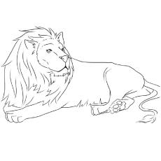 The Asiatic lion coloring page