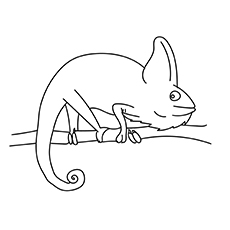 Bearded dragon coloring page