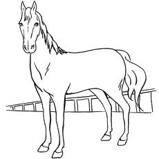 cute horses coloring pages