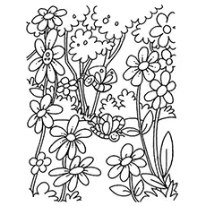 The Blooming flowers coloring page_image