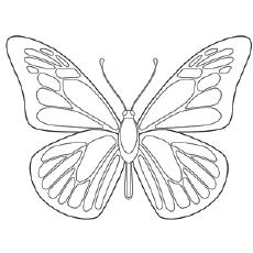 painted lady butterfly coloring page