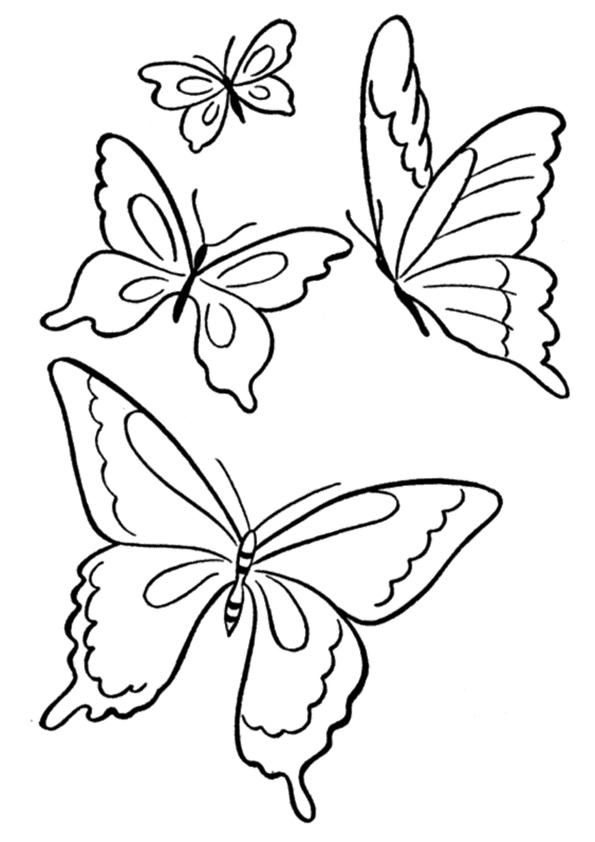 The-Butterflies