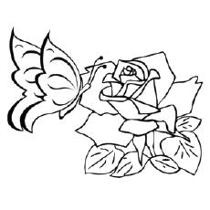 rose and butterfly coloring pages