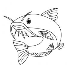 Catfish coloring page