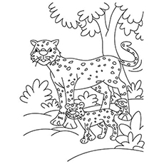The Cheetah And The Scenery coloring page