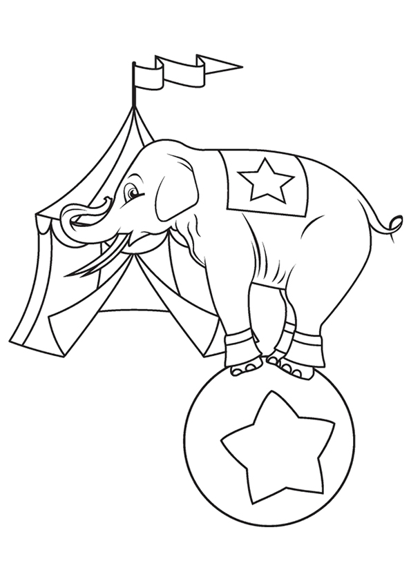 The-Circus-Elephant