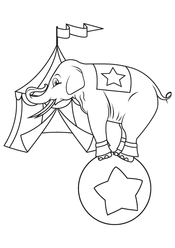 The-Circus-Elephant