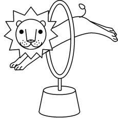 The circus lion coloring page