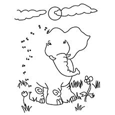 Connect the dots elephant coloring page