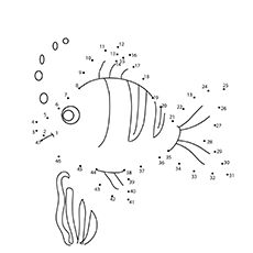 Connect the dots fish coloring page
