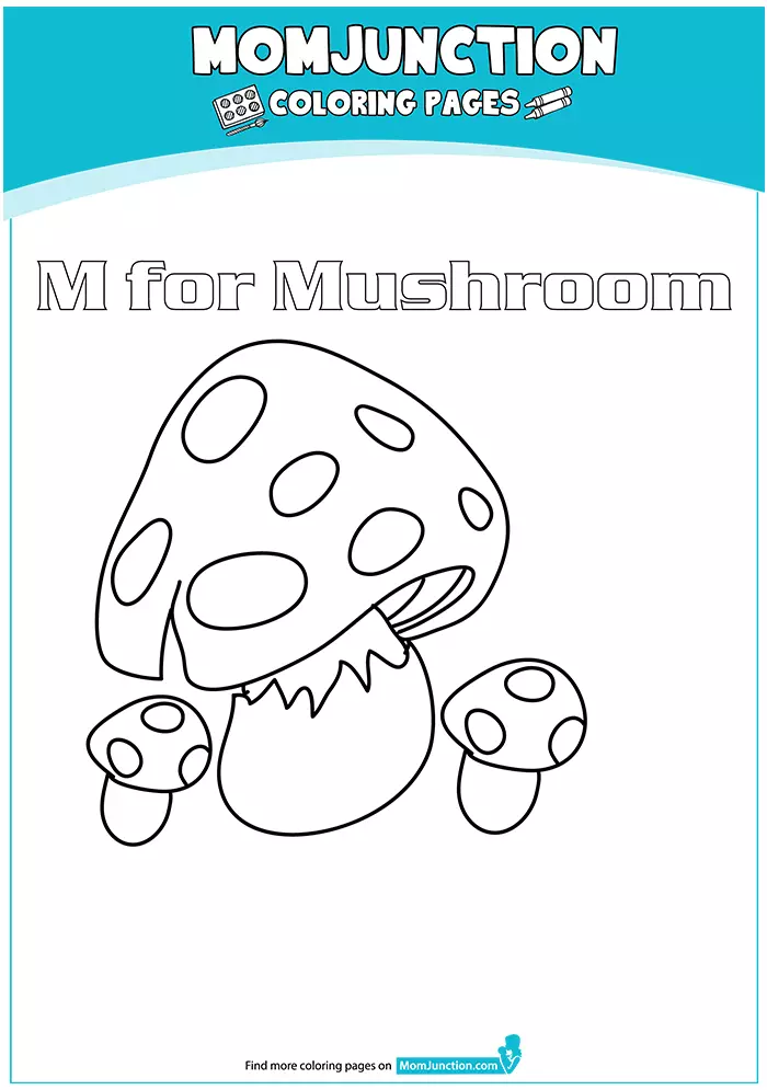 The-Cook-Me-Mushrooms-16