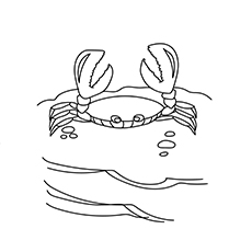The Crab at the sea beach coloring page