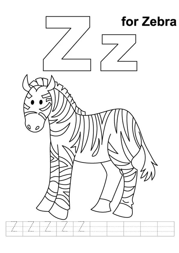 The-Cute-Baby-Zebra1