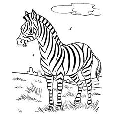 zebra coloring pages for preschoolers