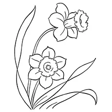 Daffodil flower coloring page_image