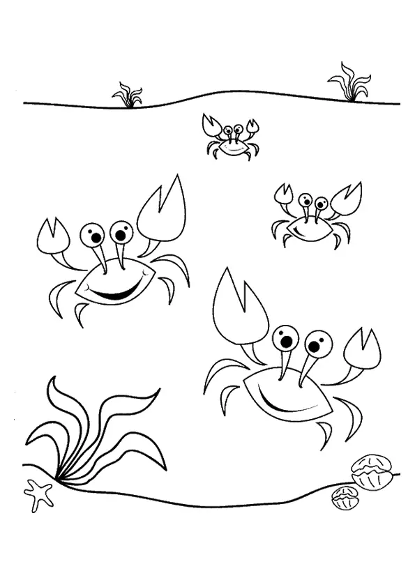 The-Dancing-Sea-Crabs