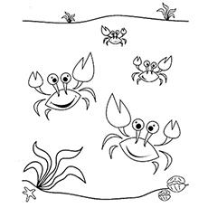 Download Top 10 Free Printable Crab Coloring Pages Online