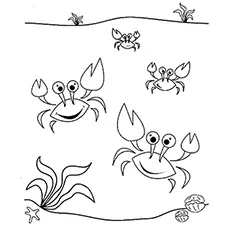 Dancing Sea Crabs coloring page