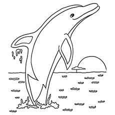 Dolphin fish coloring page