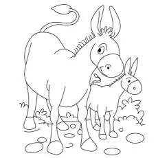 The-Donkeys-Paws-On-Ears coloring page