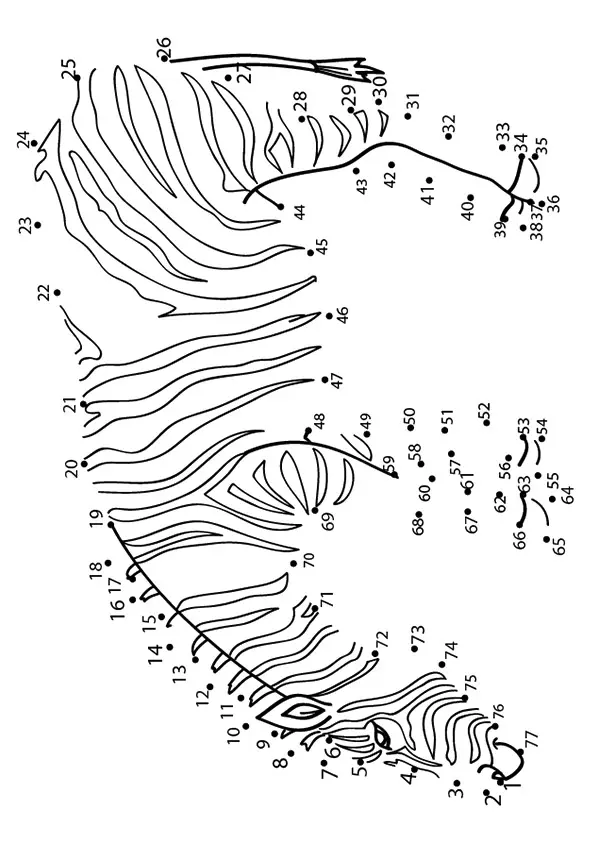 The-Dot-To-Dot