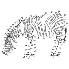 The Dot To Dot Zebra coloring page