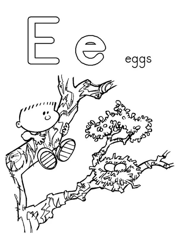 The-E-For-Egg-Nest