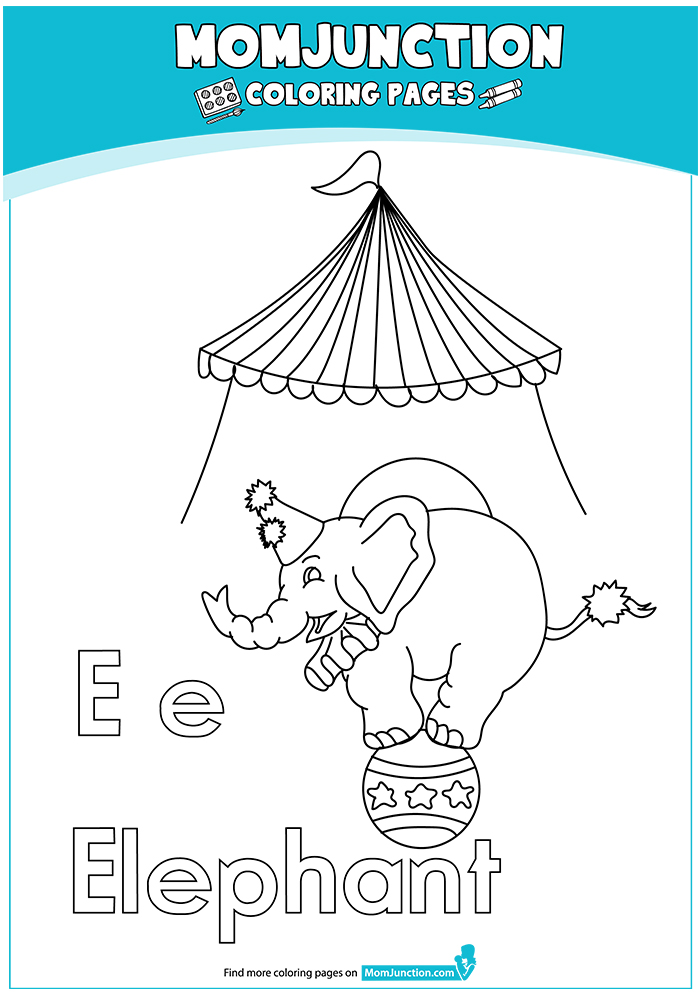 The-E-For-Elephant1-16