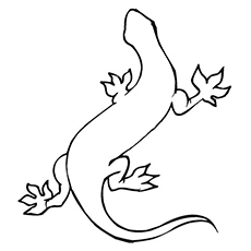 The long gecko lizard coloring page
