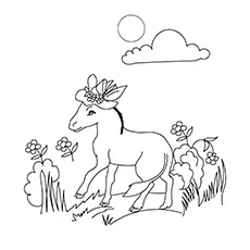 The Female Donkey colorimg page