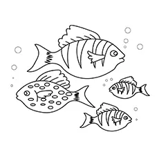 Multiple fishes coloring page