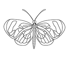 Coloring Pages of Glasswinged ButterFly Image