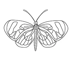 Glasswinged Butterfly coloring page