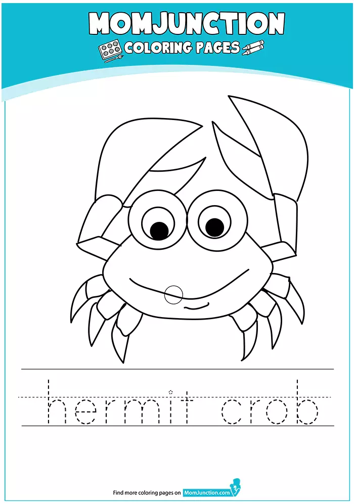 The-Happy-Hermit-Crab-16