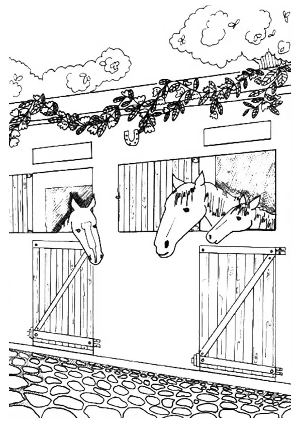 The-Horse-At-The-Barn