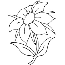 Jasmine flower coloring page