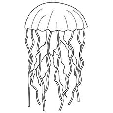 Jellyfish coloring page