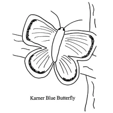 Karner Blue Butterfly coloring page