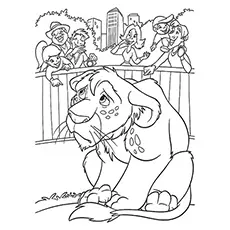 The lion cub wild kratts coloring page