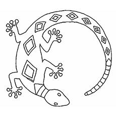 47 Top Coloring Pages For Adults Lizards For Free