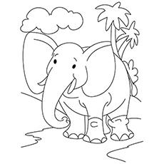 elephant coloring pages for preschool