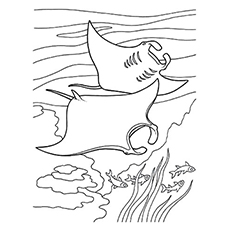 Manta ray coloring page
