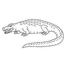 The mighty crocodile coloring page