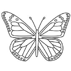 Beautiful Monarch Butterfly picture coloring page