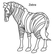 zebra coloring pages for preschoolers