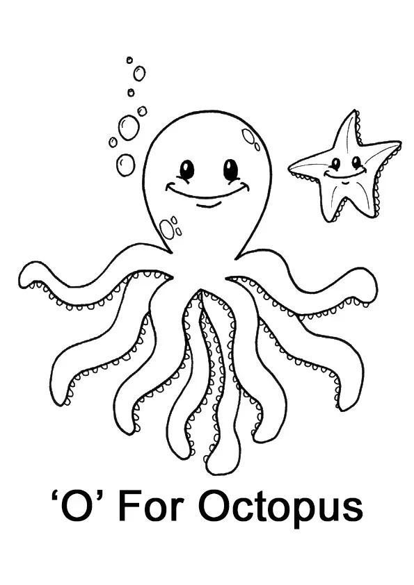 The-O-For-Octopus