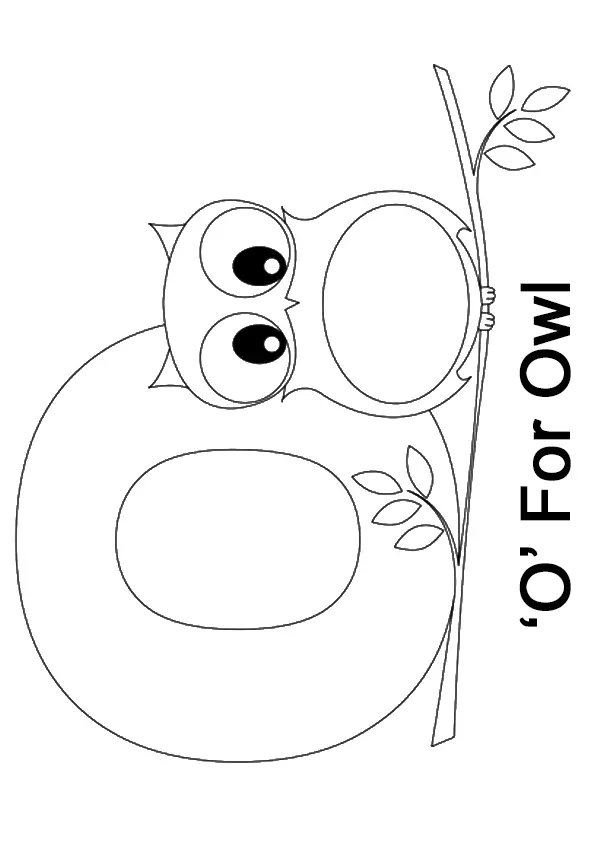 The-O-For-Owl