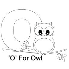 The-O-For-Owl